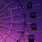 another, different ferris wheel, lit in purple, this time with a purple-pink sunset behind it.